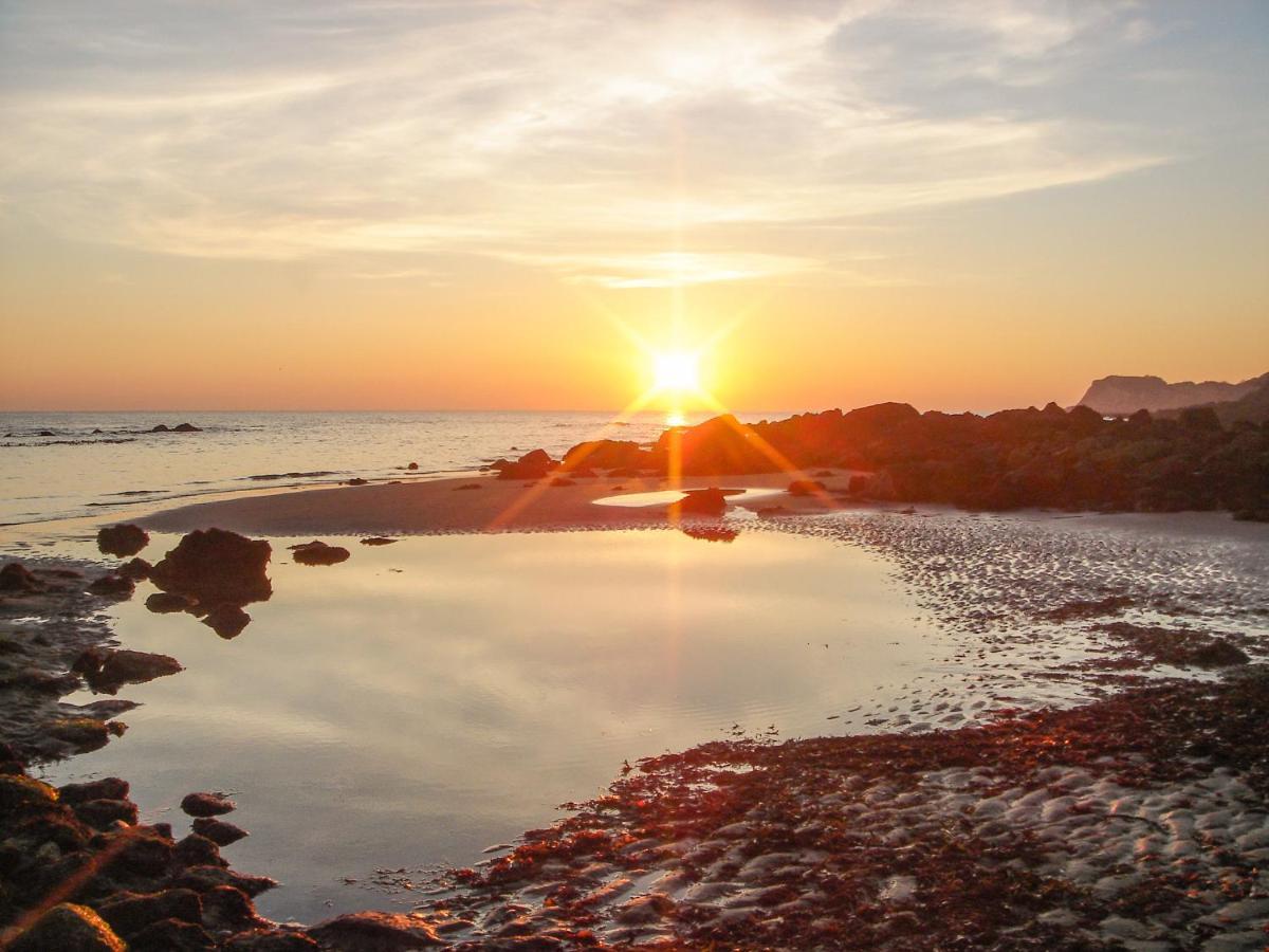 1 Tulse Hill Cottages Ventnor Buitenkant foto